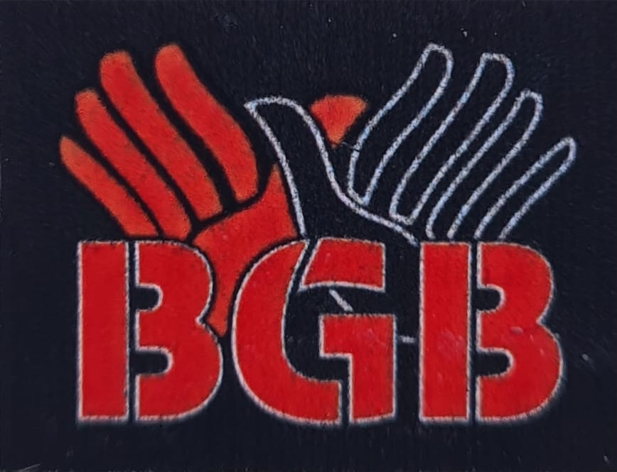 Impresa Edile Bgb Srls